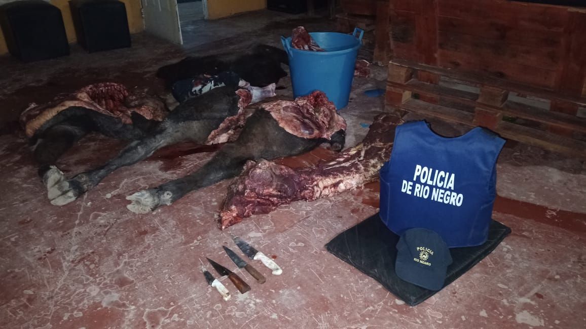 La Policía logró apresar a un cuatrero vallemediense tras seguirle las pisadas