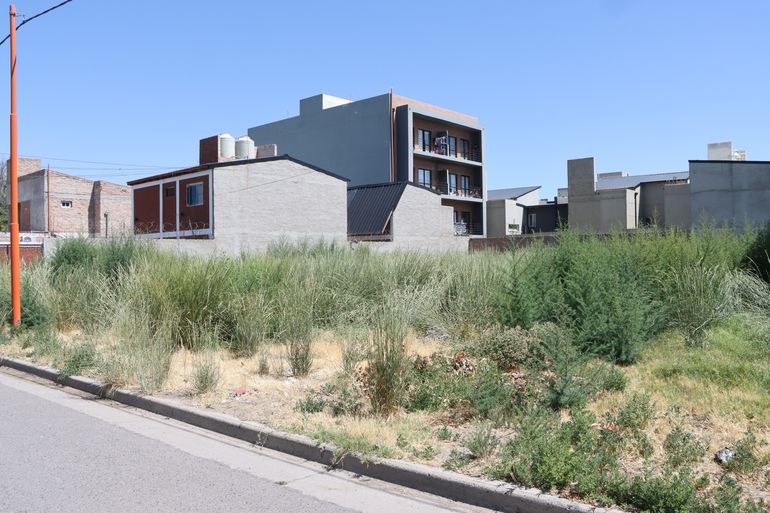 Los dueños de terrenos baldíos privados sin desmalezar serán sancionados. Foto: Anahí Cárdena..