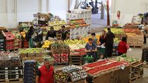 Así de imponente luce el mercado de frutas y verduras cipoleño, donde se consigue precio y calidad.