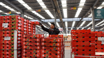 La oferta exportable de Cerezas de Chile se concentra en un 90% en el mercado de China.