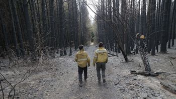 Los incendios en El Bolsón han causado numerosas pérdidas