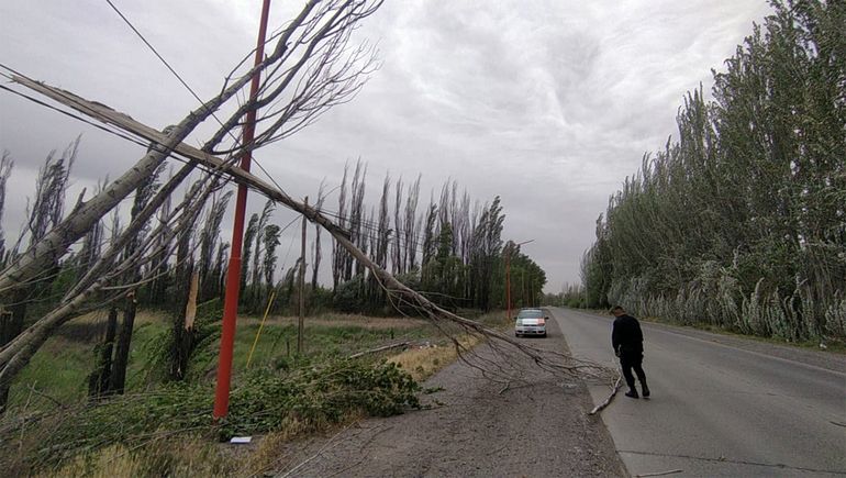 Lo que el viento dejó: Protección Civil recibió más de 180 llamados