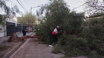El personal debió concurrir a distintas emergencia provocadas por el viento, con caída de árboles, ramas y cables. El personal debió concurrir a distintas emergencia provocadas por el viento, con caída de árboles, ramas y cables.