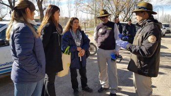 allanaron la casa del hombre que vendio loros infectados allanaron la casa del hombre que vendio loros infectados