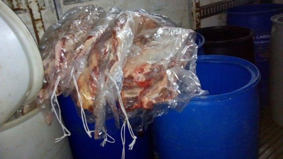 La carne venía oculta en tambores plásticos, en los que estaba refrigerada con hielo.