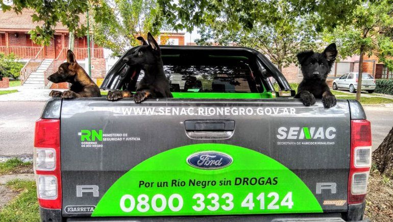 La Policía suma perros antidrogas