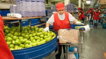 fruta por fruta, el mapa de la produccion y exportacion del valle
