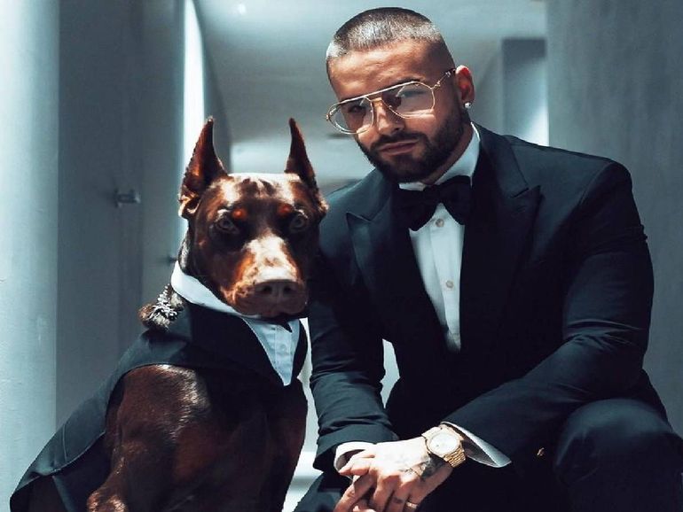 Maluma fue atacado por su perro y sufrió lesiones en la cara
