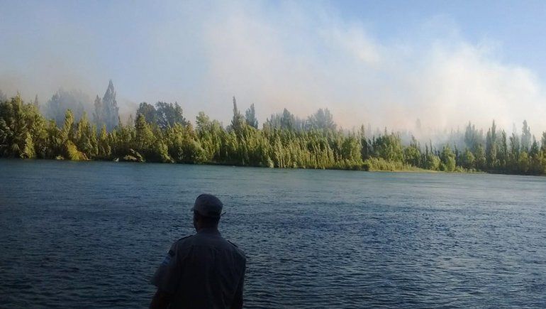 Controlaron el incendio de la isla sobre el Limay: ya afectó 5 hectáreas
