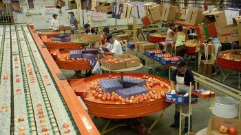 el senasa trabaja para levantar la suspension de brasil