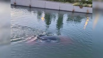 conductor borracho cayo con su auto al canal grande en roca