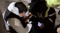 El forcejeo en el que la inspectora de tránsito resultó agredida en Bariloche.