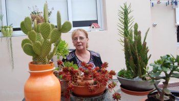 Guadalupe tiene el patio repleto de cactus y suculentas, plantas que se volvieron su gran pasión.
