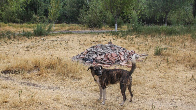 Los trabajadores advirtieron que Servicios Públicos arrojó residuos y no creen que sea para hacer un cerco.