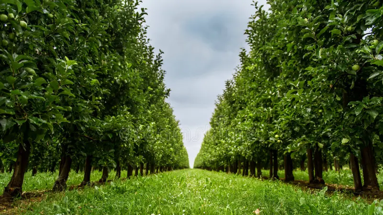 Pronostican temperaturas mínimas de -2°C para el Valle