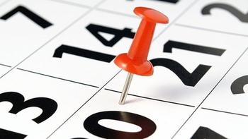 la justicia electoral pidio trasladar el feriado del 20 de noviembre