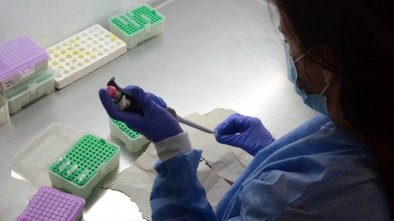 Neuquén tiene circulación comunitaria de la variante Delta