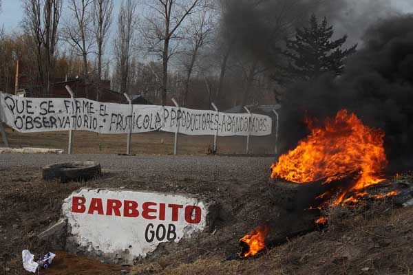 Acciones previstas por la Federación de Productores