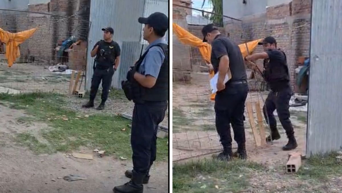 Este jueves, dos perros fueron rescatados en un allanamiento por maltrato animal.