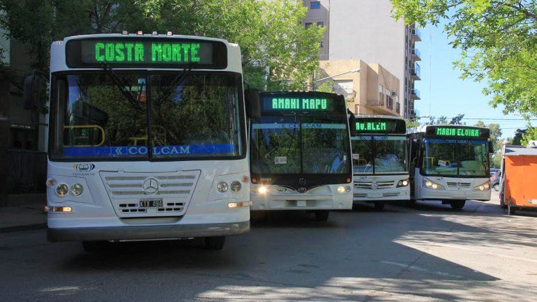 Los nuevos ómnibus de Pehuenche no son accesibles ni tienen rampas.