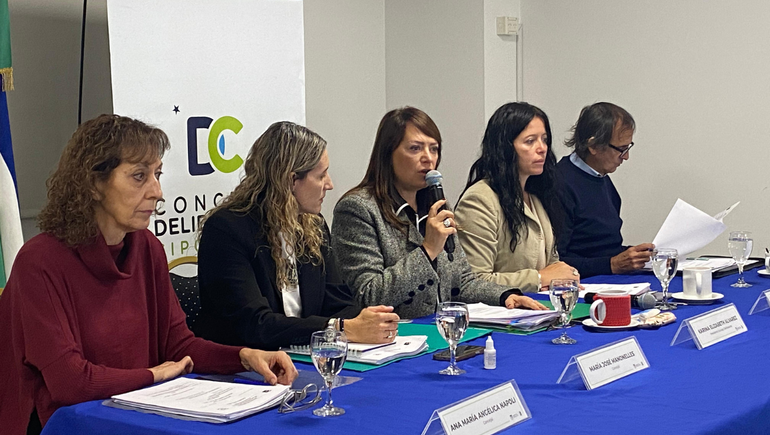 En la nueva sesión ordinaria del Concejo Deliberante, también se aprobaron declaraciones de interés.