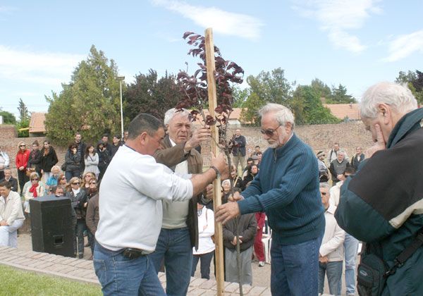 La ciudad ya tiene su Paseo de la Memoria