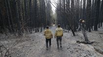 ordenaron liberar a seis acusados por incendios en el bolson y criticaron a la fiscalia