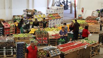 Así de imponente luce el mercado de frutas y verduras cipoleño, donde se consigue precio y calidad.