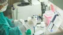 hubo 229 contagios de coronavirus y 149 altas
