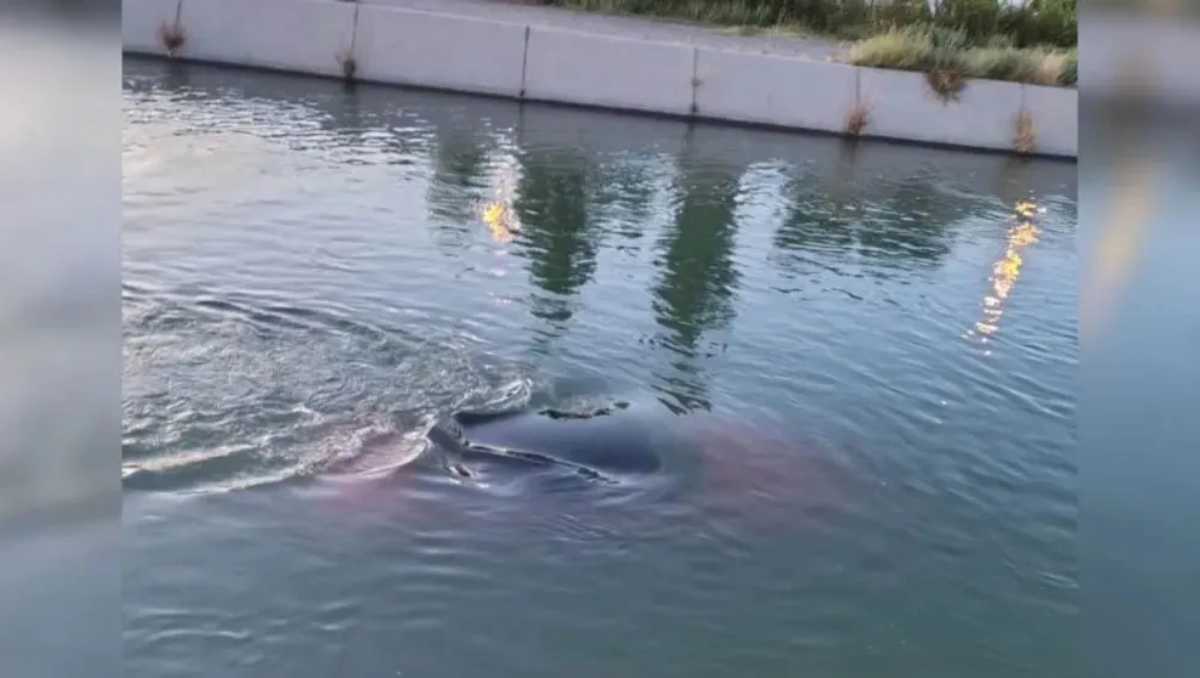 Conductor borracho cayó con su auto al canal grande en Roca