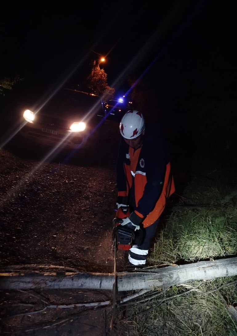 Los trabajos fueron articulados por Protección Civil, Servicios Públicos y Bomberos Voluntarios.