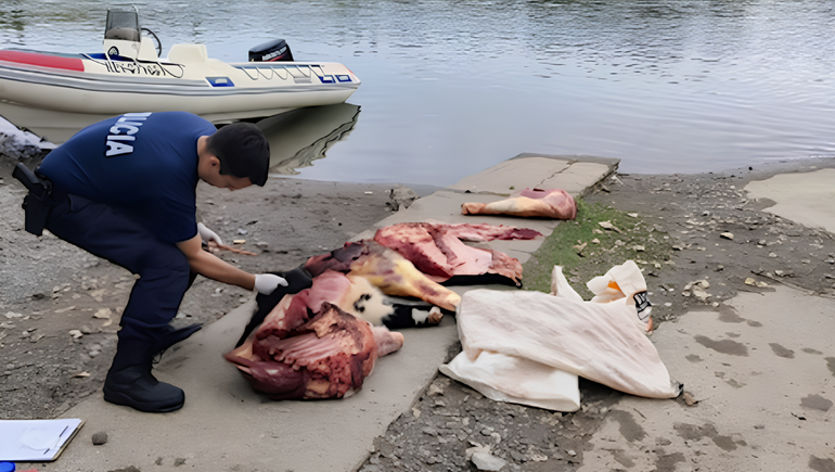 Se complica la situación legal del supuesto cuatrero que escapó en lancha por el río Negro