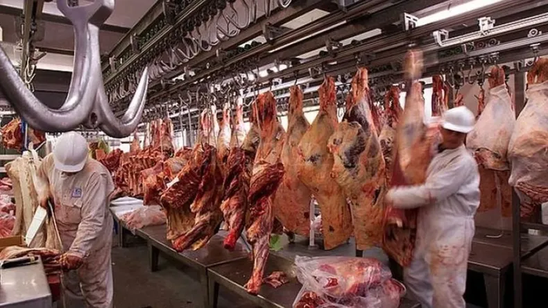 Cayó el stock ganadero: se perdieron 1,3 millones de vacunos en un año