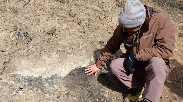 Especialistas del Conicet fueron convocados por la Secretaría de Ambiente y Cambio Climático.