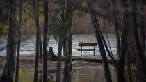 temporal en neuquen: el ultimo anuncio sobre la crecida del rio