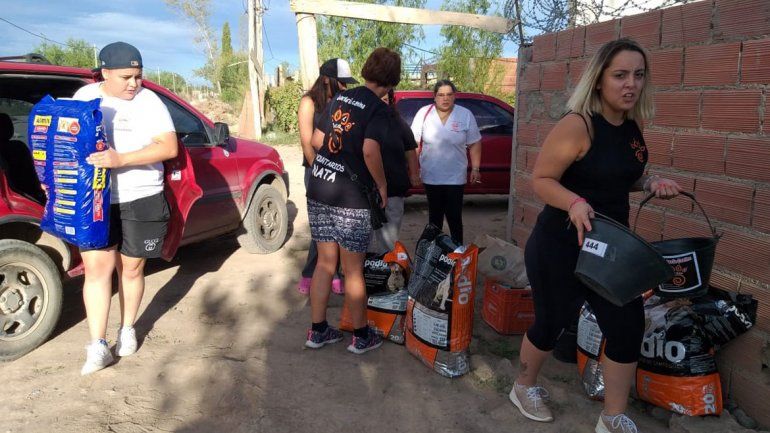 Una cruzada para ayudar a los perros callejeros