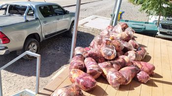 La camioneta con 390 kilogramos de carne equina y bovina que se dirigía hacia la localidad rionegrina de Catriel. 