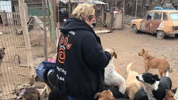 denunciaran en la justicia la situacion del refugio canino