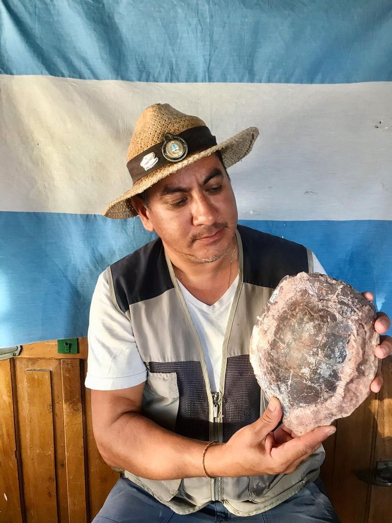 Hallaron dos tortugas de unos 90 millones de años en el lago Barreales