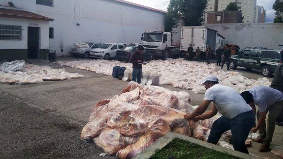 Decomisaron casi 10 mil kilos de carne ilegal que venían a la región