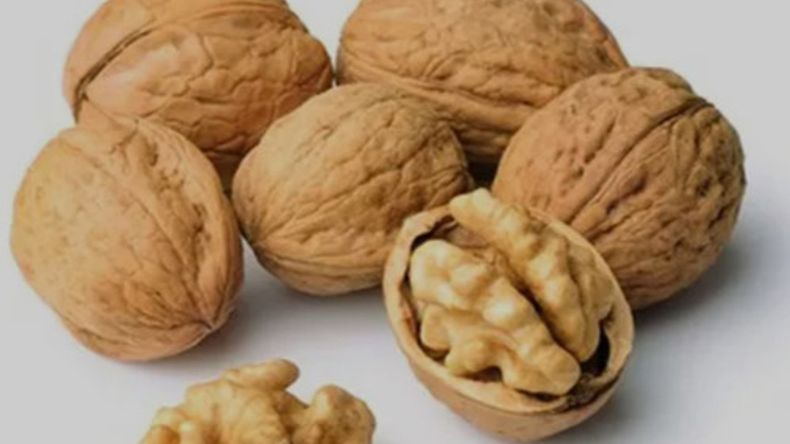 Las nueces que se exportan desde la Patagonia más austral al mundo