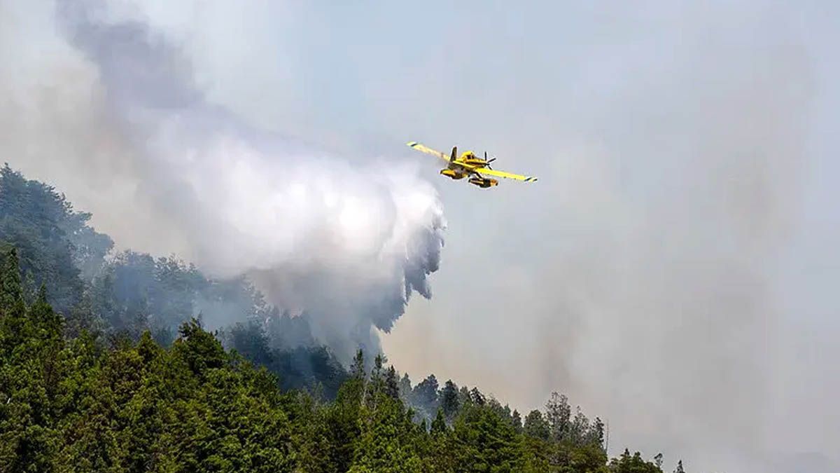 Tras el fuego, se habilitó la Ruta 40 entre Bariloche y El Bolsón