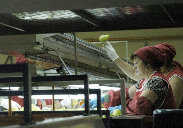 El Sindicato de la Fruta y la CAFI vuelven a discutir salarios hoy en Roca