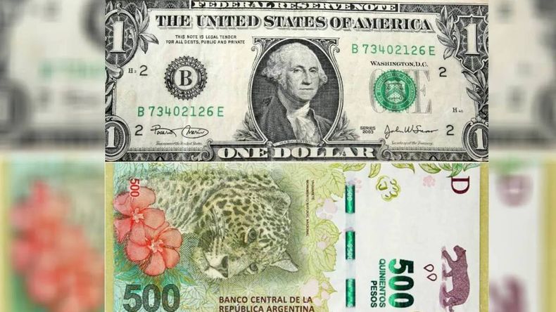 Dólar Qatar: subió casi 60% desde su lanzamiento y es el primero en superar los $500