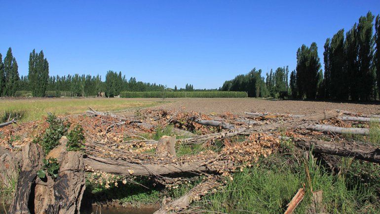 El Municipio advirtió por un barrio cerrado ilegal