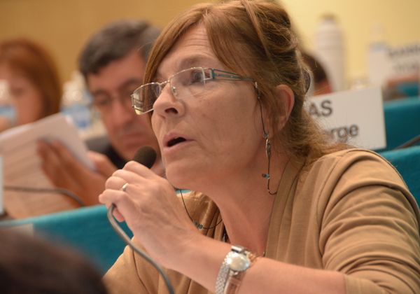 Buscan facilitar compra de lotes con Procrear