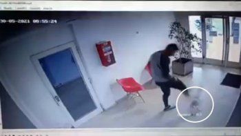 El video circula en Twitter generando gran indignación El video circula en Twitter generando gran indignación