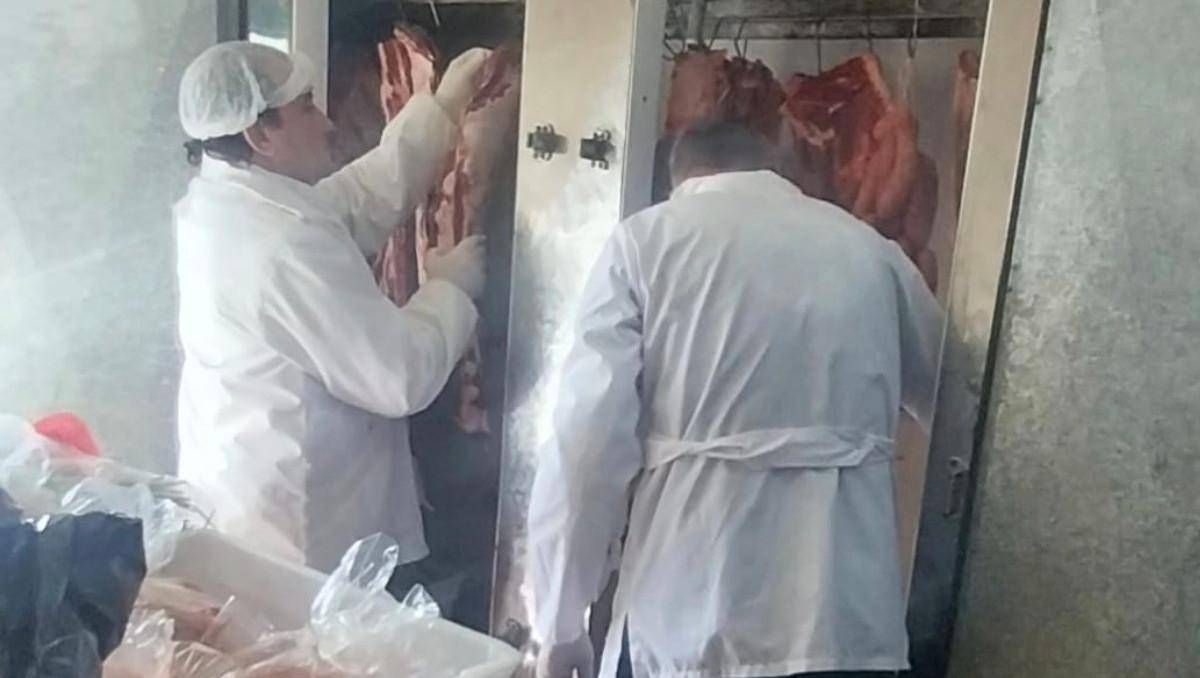 Se inspeccionaron 25 carnicerías en el Alto Valle y secuestraron media tonelada.