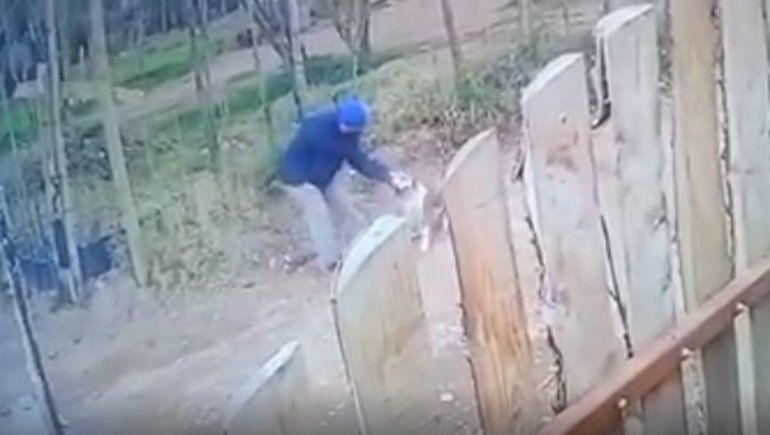 Horror en Centenario: ahorcó y mató a un perro a piedrazos