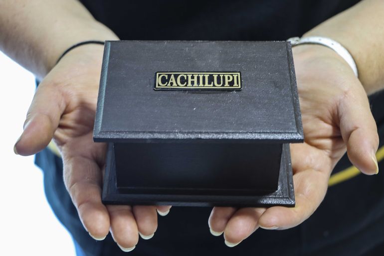 La urna con las cenizas de la recordada Cachilupi, la perra de Celinda, dueña de Fidelis. Foto Anahí Cárdena. La urna con las cenizas de la recordada Cachilupi, la perra de Celinda, dueña de Fidelis. Foto Anahí Cárdena.